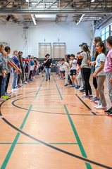 NZ6 3117
